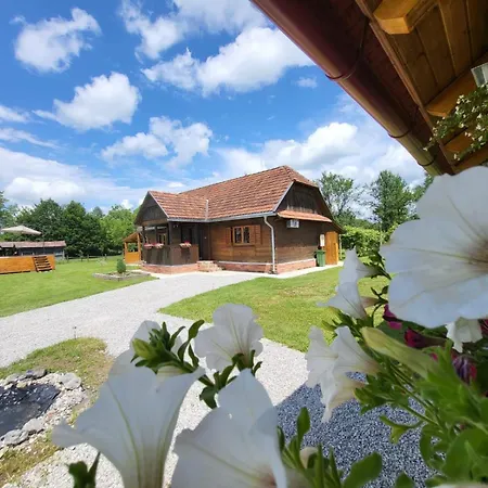 Kuca Za Odmor Jopi I Mare Villa Topusko Exterior photo