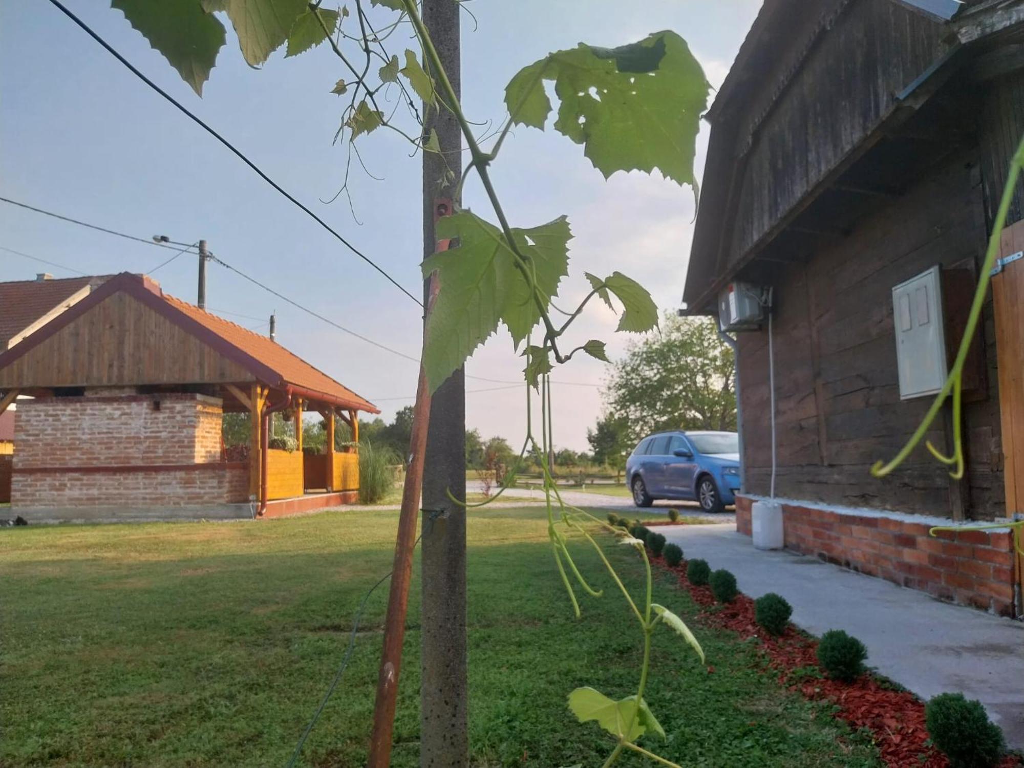 Holiday home Kuca Za Odmor Jopi I Mare